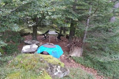 Coin repas extérieur, sous les arbres, avec barbecue