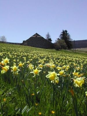 Moins d'un hectare T3 VENDU  VENDU   VENDU Label fondation du patrimoine