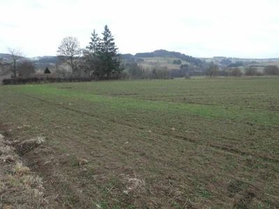 Terrain Campagne du Mazet Saint Voy Terrain constructible