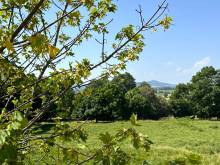 Ferme à rénover dans hameau sur 1 hectare à Mars